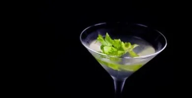 cocktailuri cu martini