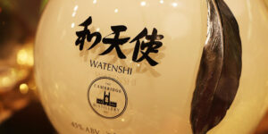 Watenshi 70 cl cea mai scumpa sticla de gin din lume