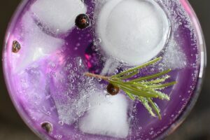 cocktailuri cu gin