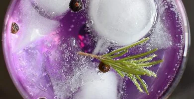 cocktailuri cu gin